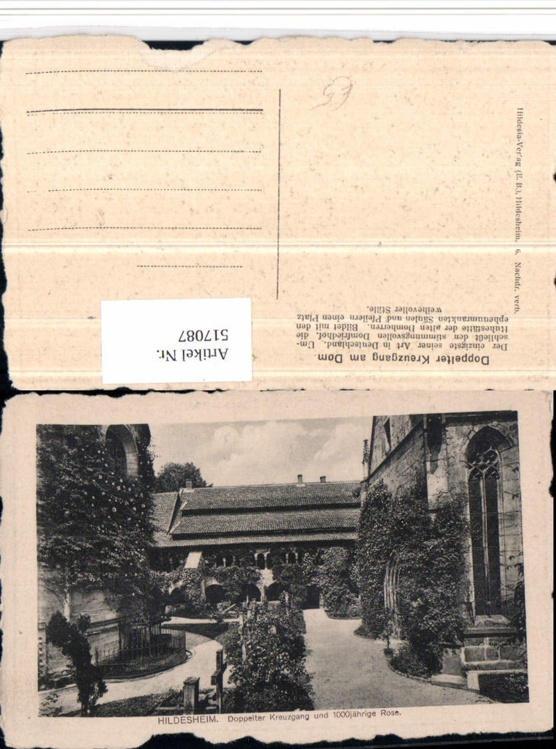 517087,Hildesheim Doppelter Kreuzgang u. 1000-jähriege Rose