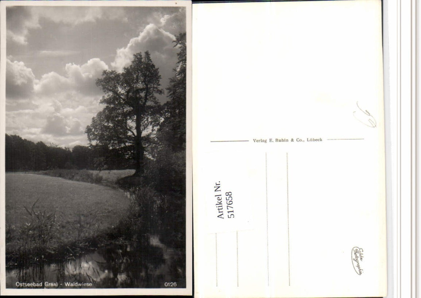517658,Ostseebad Graal-Müritz Waldwiese Landschaft