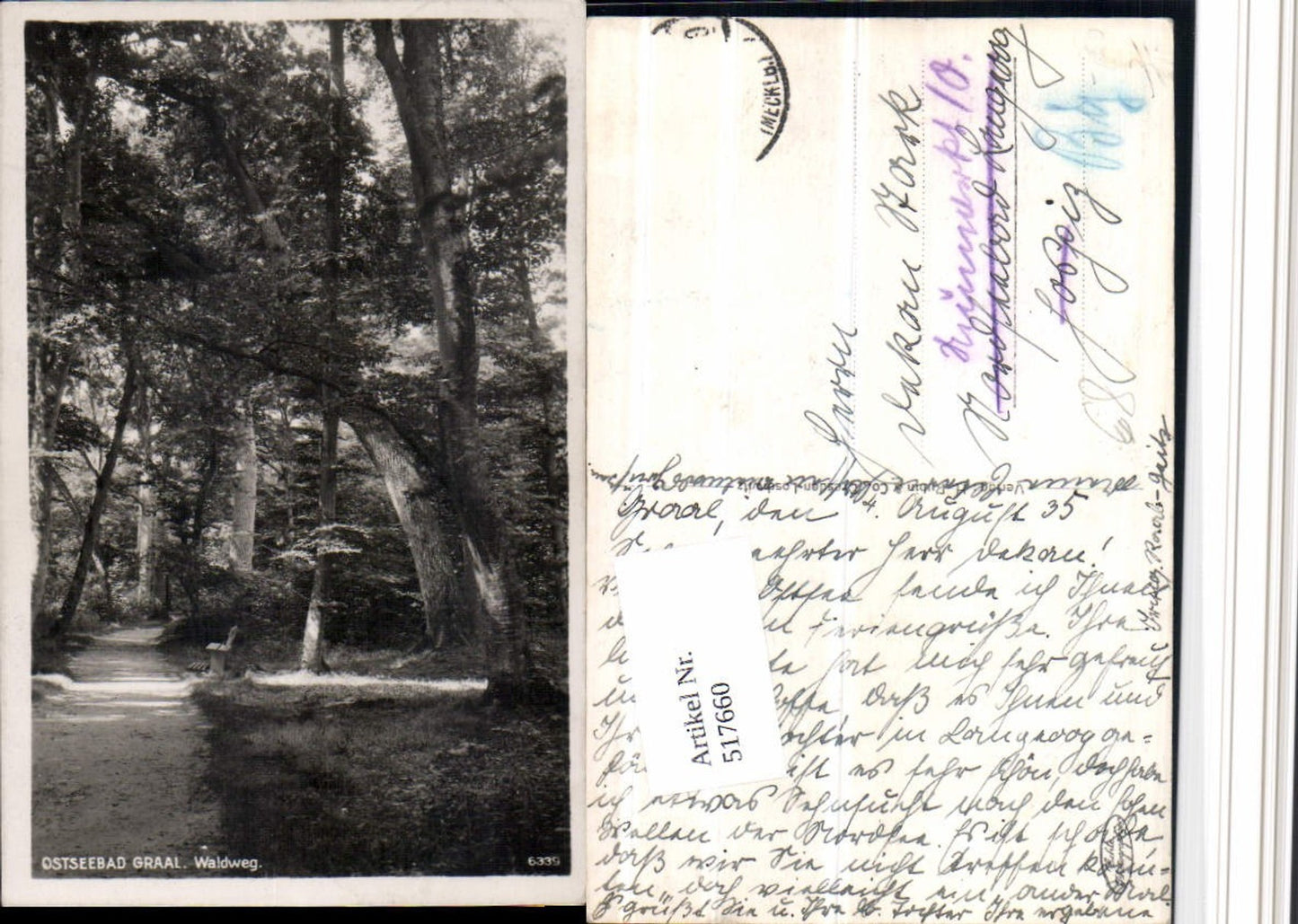 517660,Ostseebad Graal-Müritz Waldweg Wegpartie