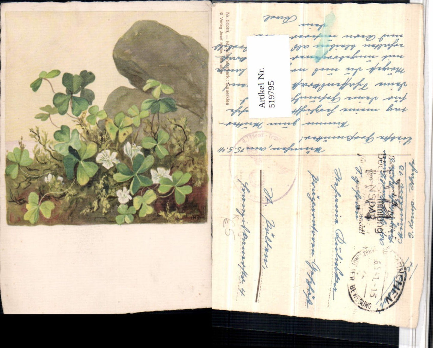 519795,Künstler AK M. Schönermark Sauerklee Klee Pflanze