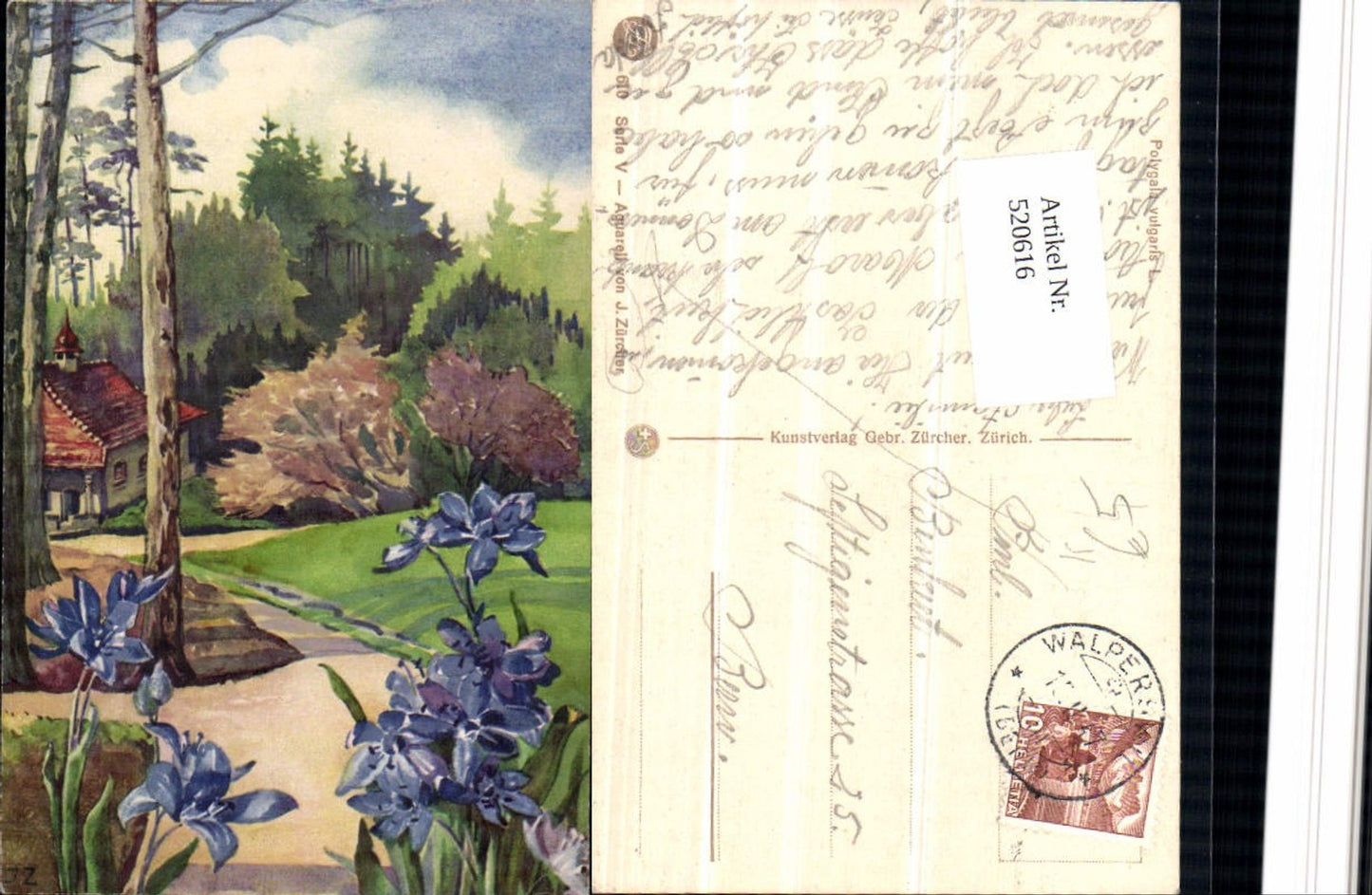 520616,Künstler AK J. Zürcher Polygala vulgaris Blumen Landschaft