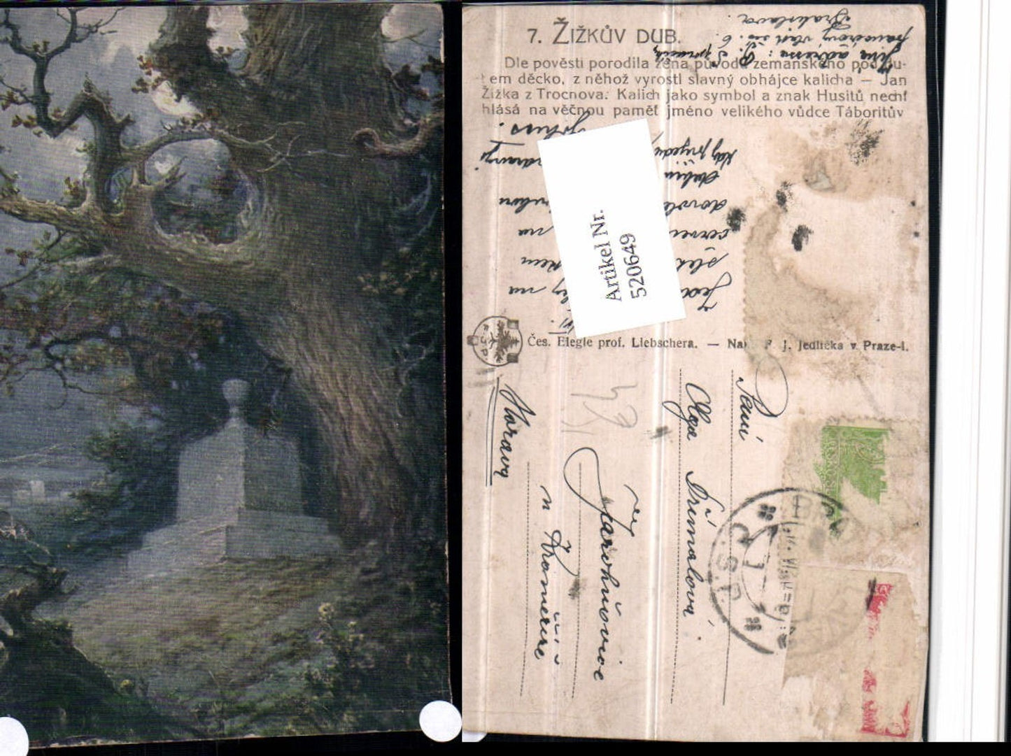 520649,Künstler AK Liebschera F. J. Jedlicka Zizkuv Dub Baum