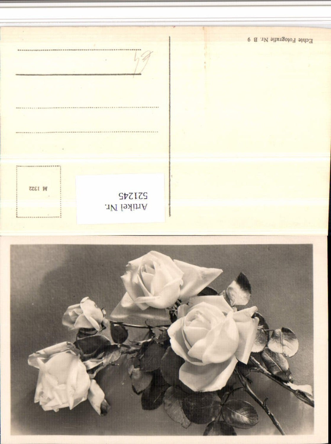 521245,Photo art roses flowers
