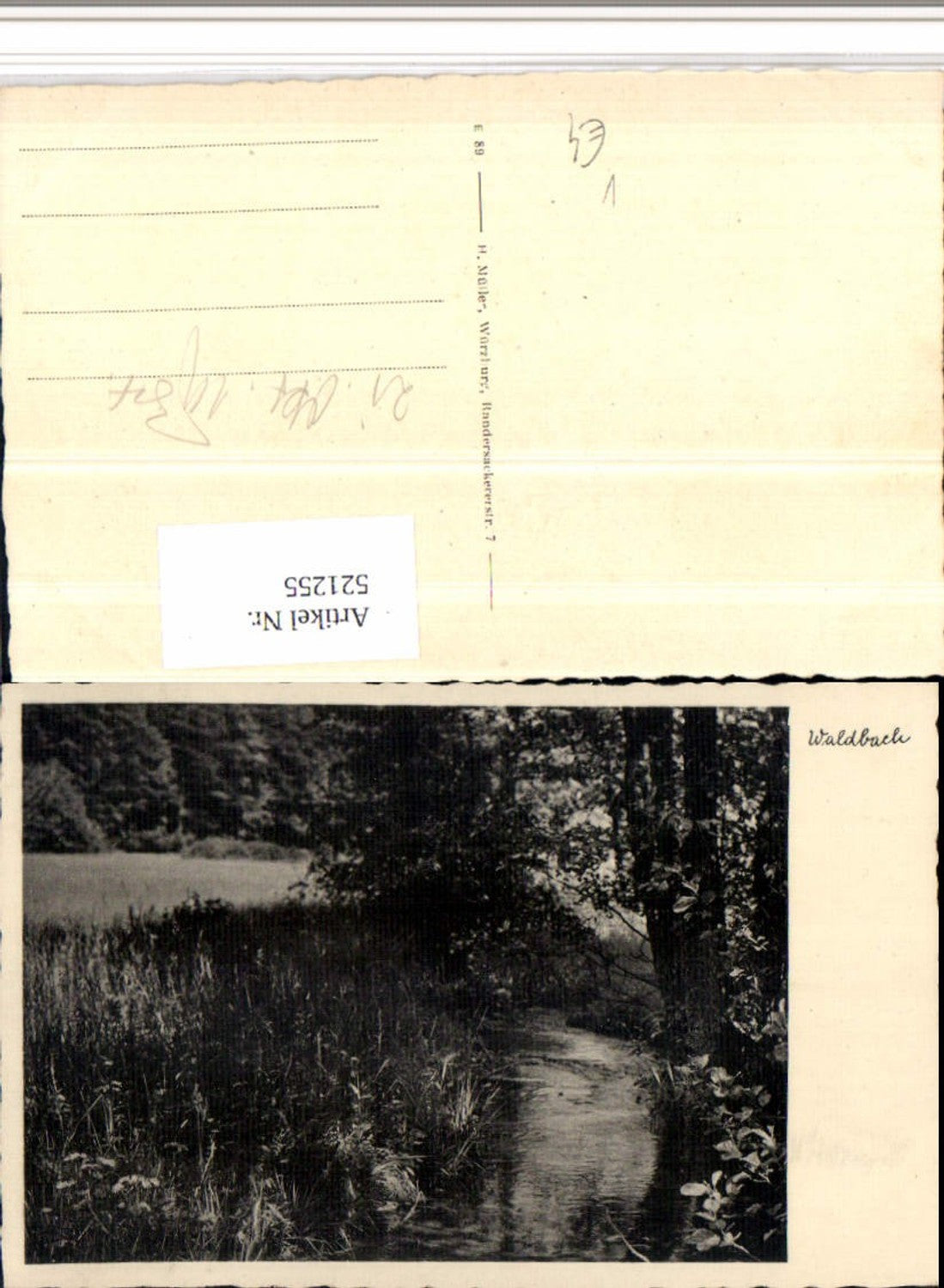 521255,Fotokunst H. Müller Würzburg Waldbach Bach