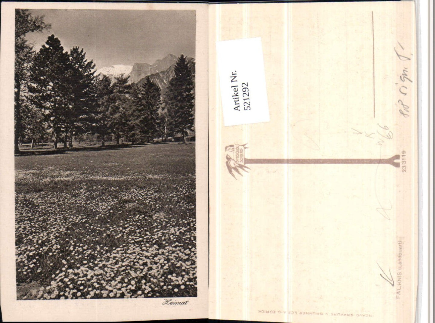 521292,Fotokunst D. Mischol Schiers 23/3119 Falknis Landquart Landschaft