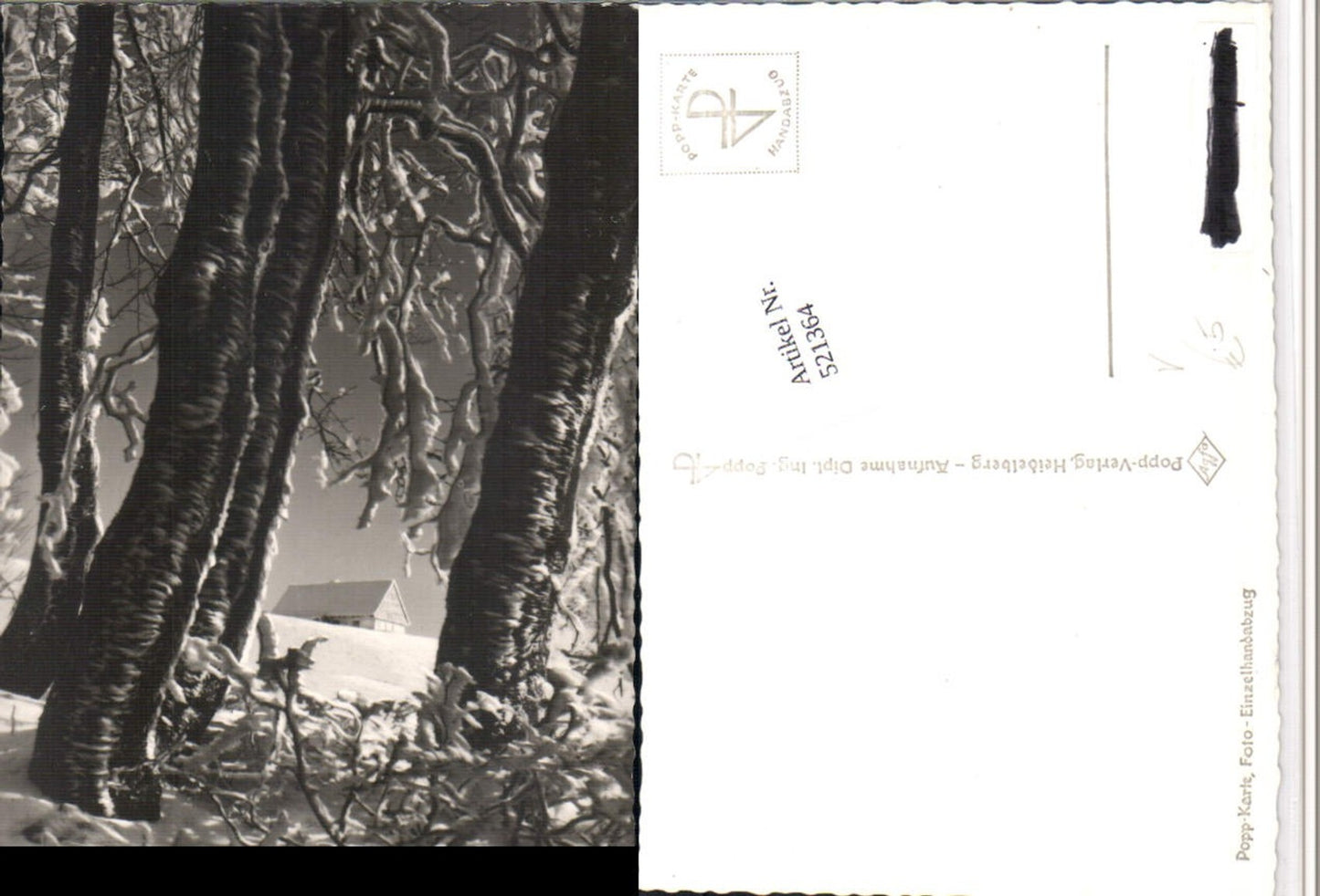 521364,Popp Verlag 1730 Waldwinter Winterlandschaft Haus Bäume
