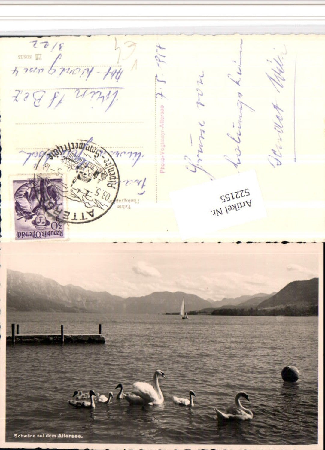 522155,Schwäne auf dem Attersee See Bergkulisse pub Foto Voglmayr