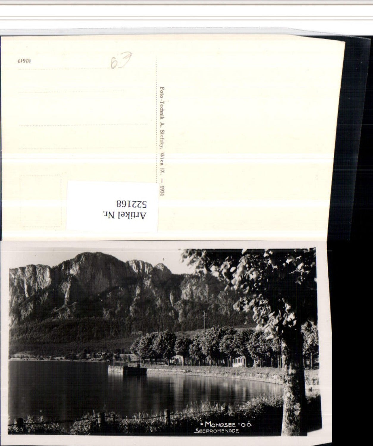 522168,Mondsee Seepromenade Bergkulisse