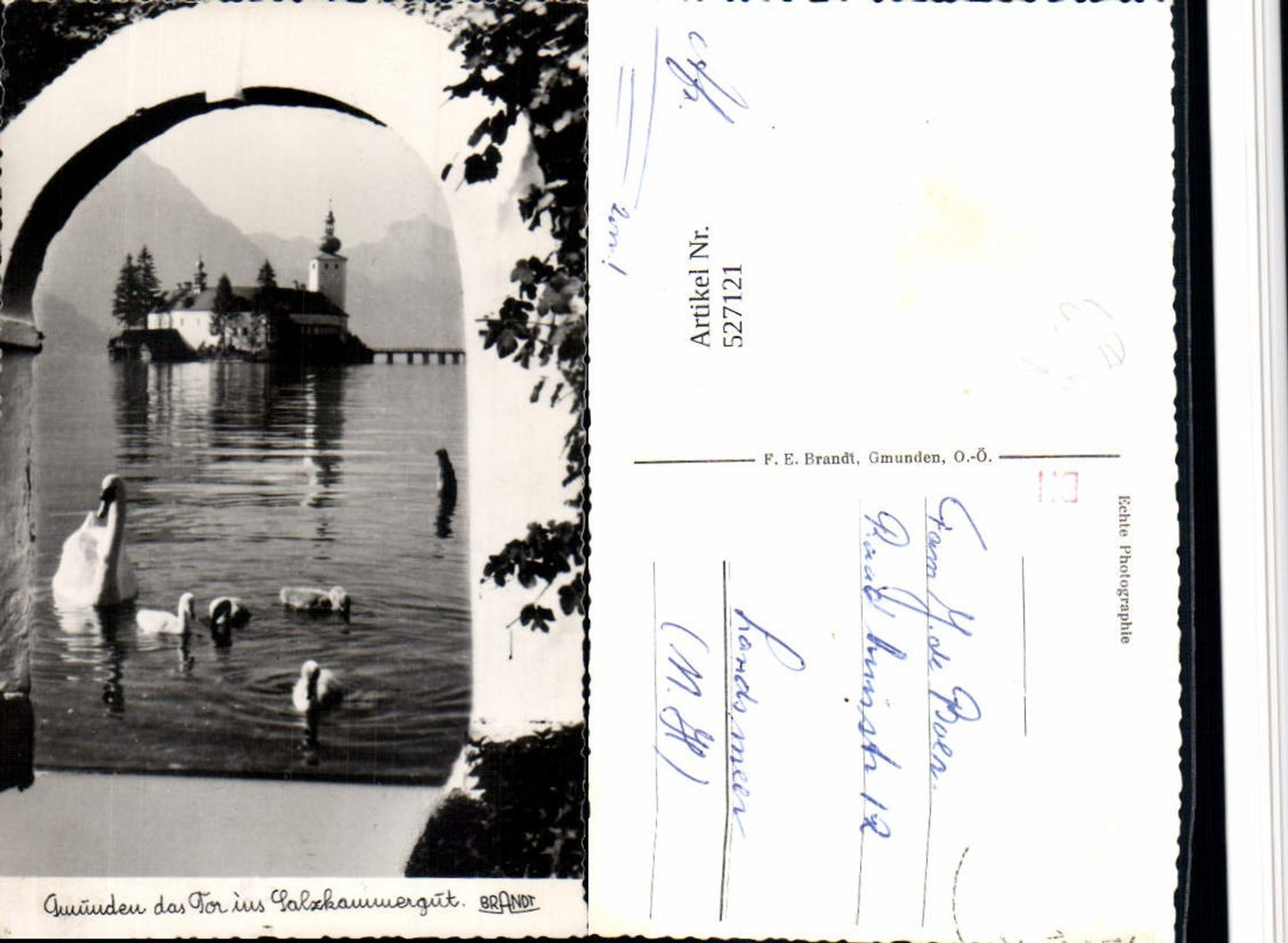527121,Gmunden am Traunsee Schwäne Schwan Schloss Ort Orth