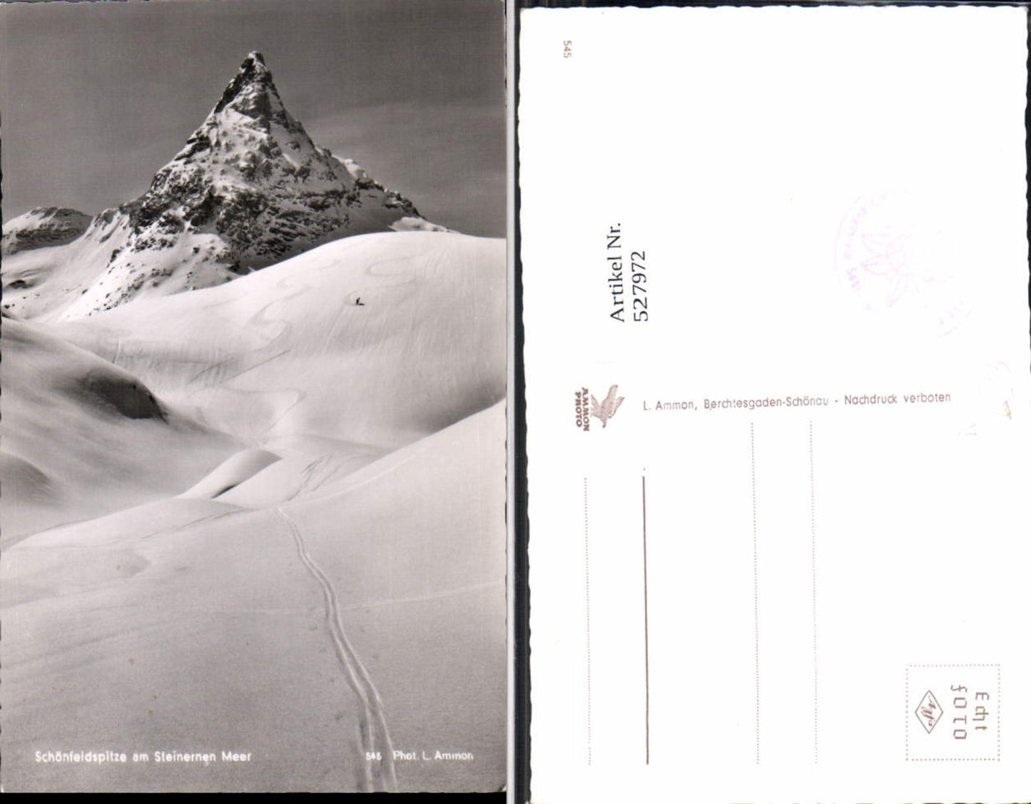 527972,Schönfeldspitze bei Zell am See