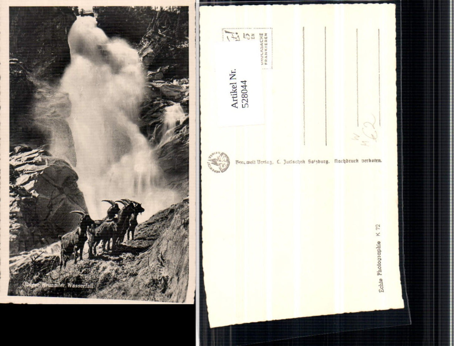 528044,Krimml Wasserfall Steinbock