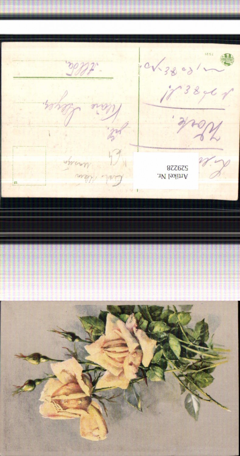 529228,Künstler AK Catharina Klein Rosen unsigniert