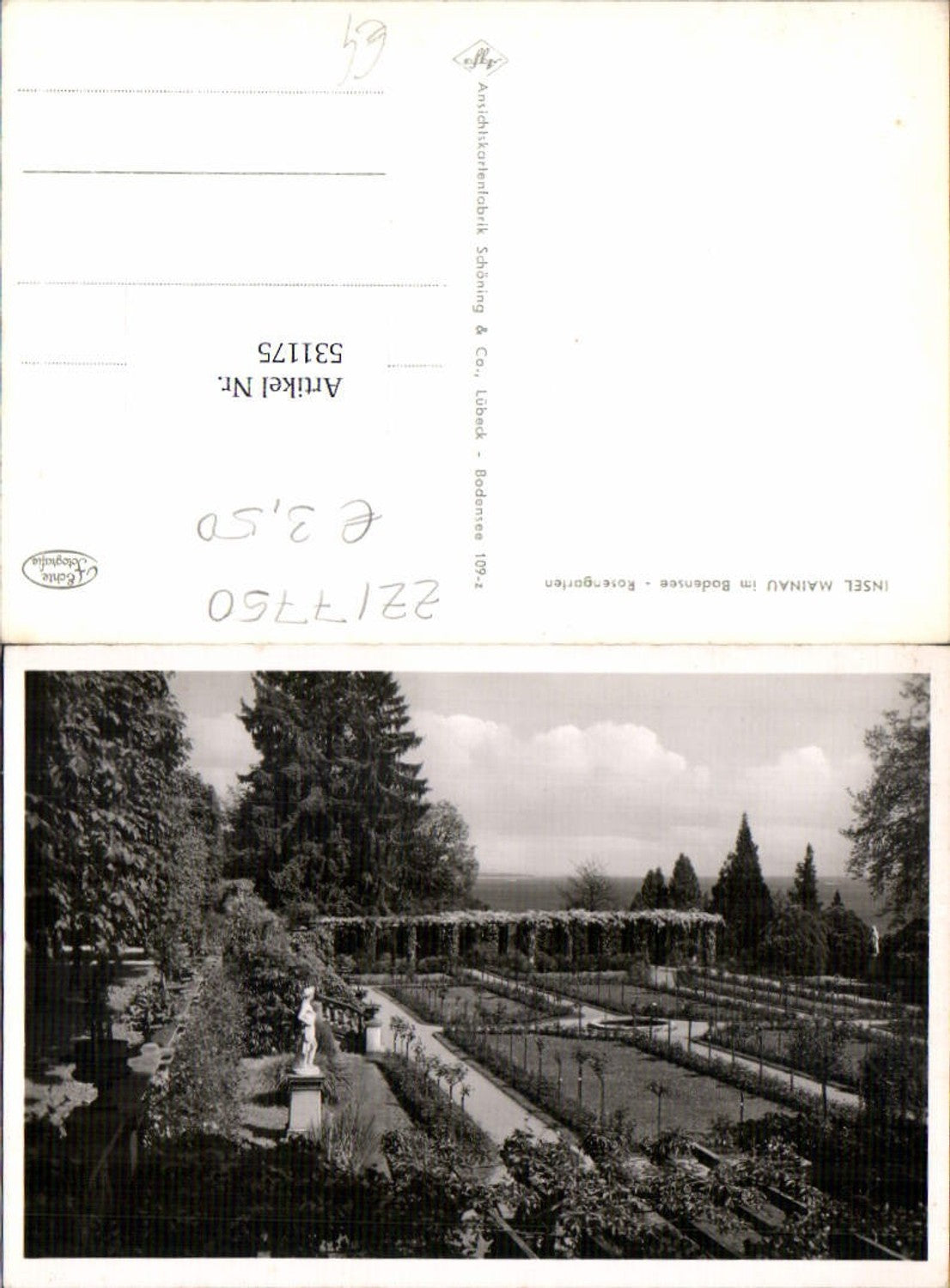 531175,Insel Mainau im Bodensee Konstanz Rosengarten