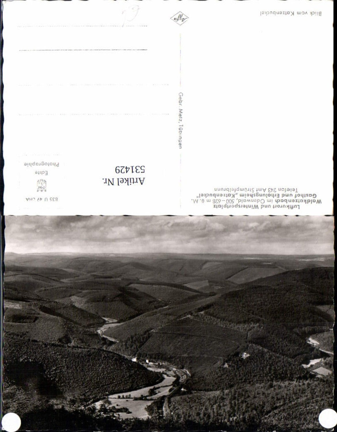 531429,Foto Ak Waldkatzenbach Waldbrunn im Odenwald Blick v. Katzenbuckel