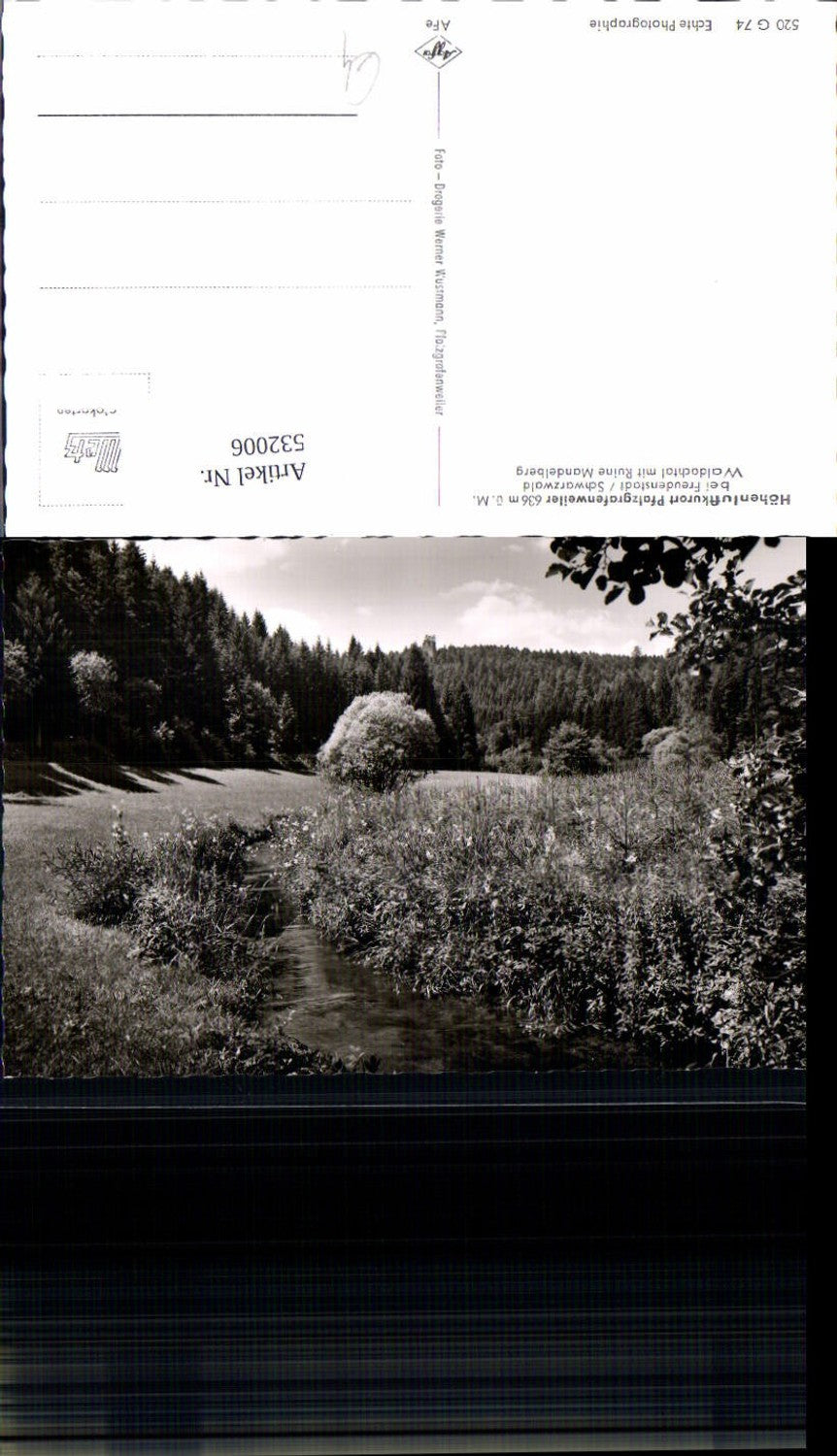 532006,Pfalzgrafenweiler bei Freudenstadt im Schwarzwald Mandelberg Ruine