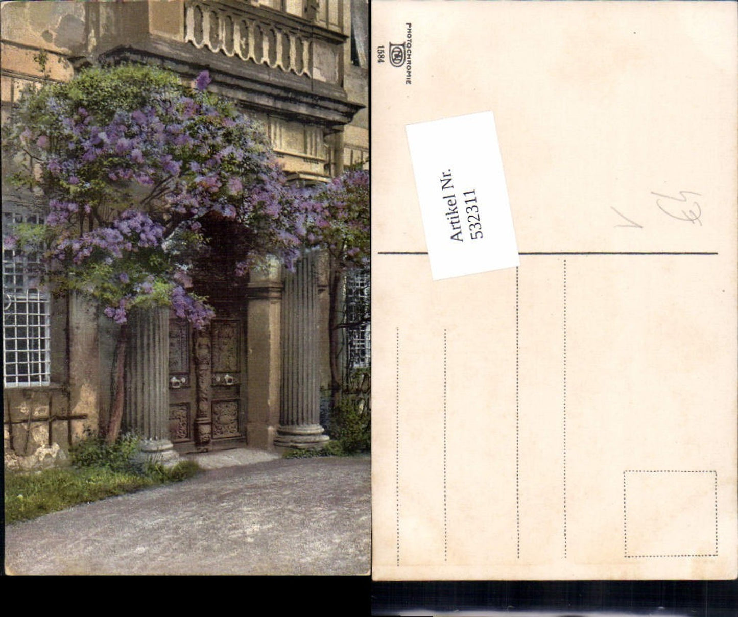 532311,Photochromie Ostermaier & Nenke 1584 Strauch