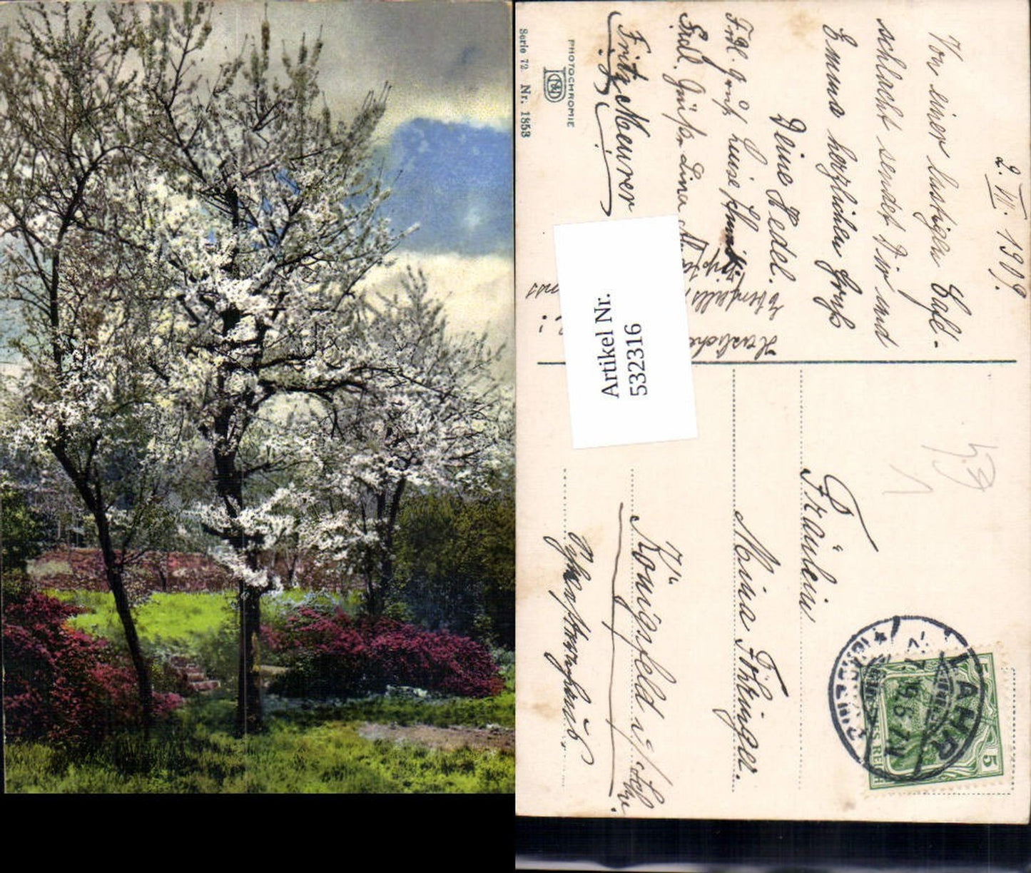 532316,Photochromie Ostermaier & Nenke 72-1853 Frühling Bäume Baum