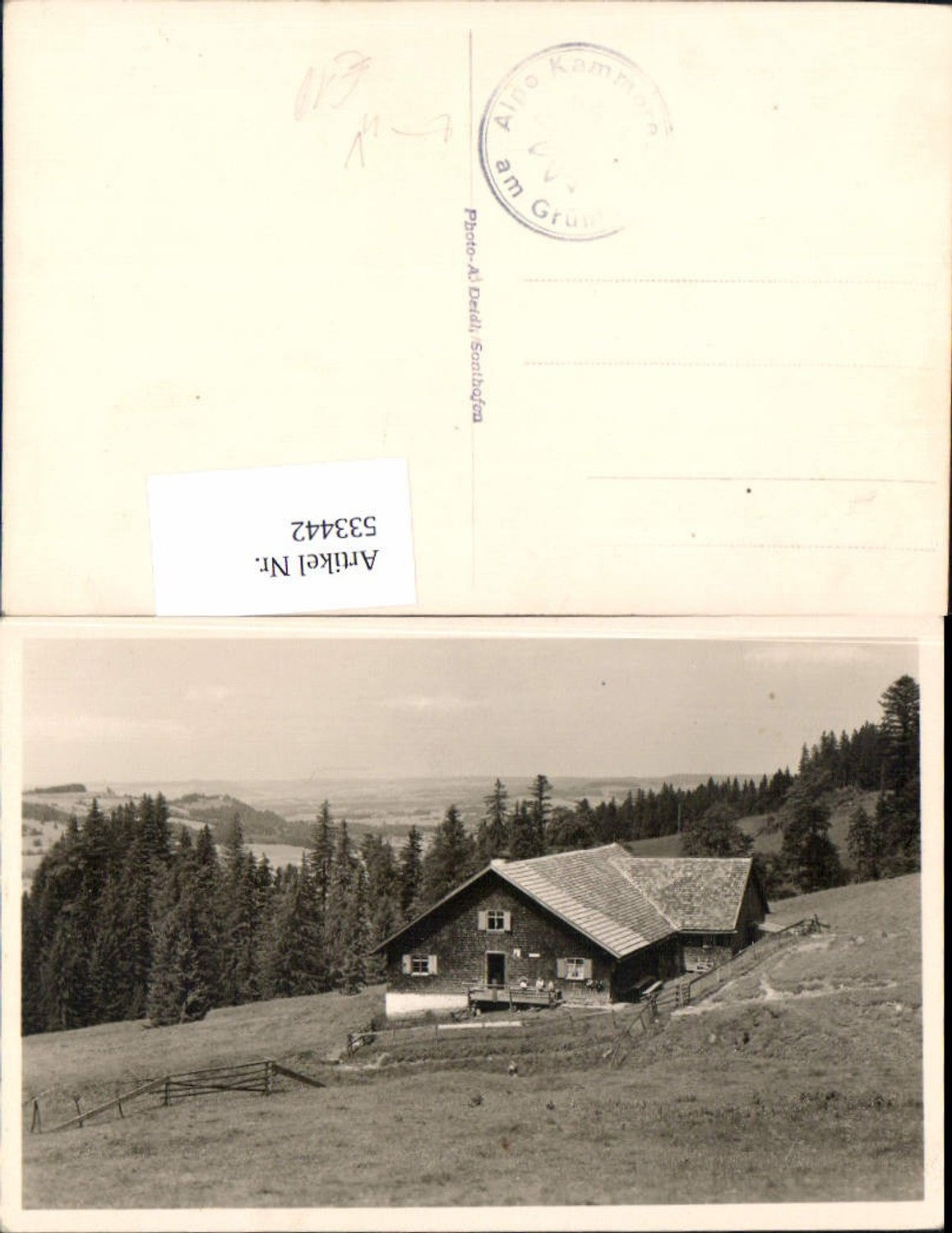 533442,tolle Foto-AK Sonthofen, Photo A. Deidl Landwirtschaft Alpe Grünten