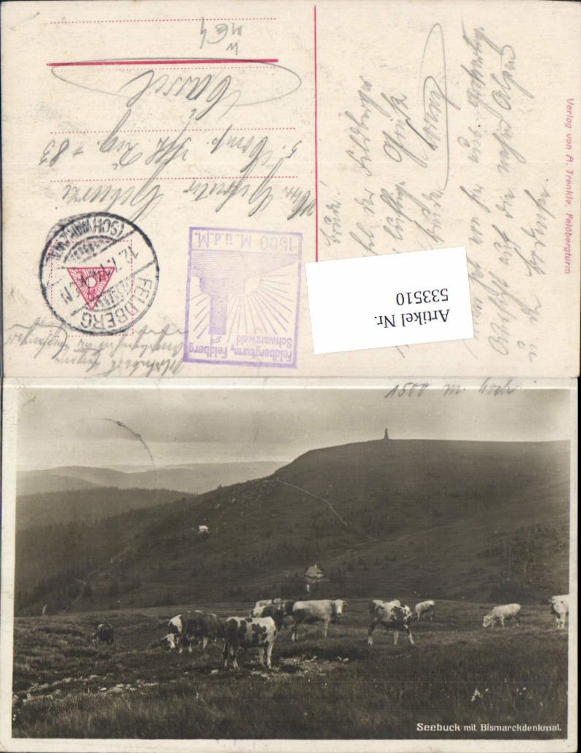 533510, Seebuck mit Bismarckdenkmal Feldberg Kühe Schwarzwald