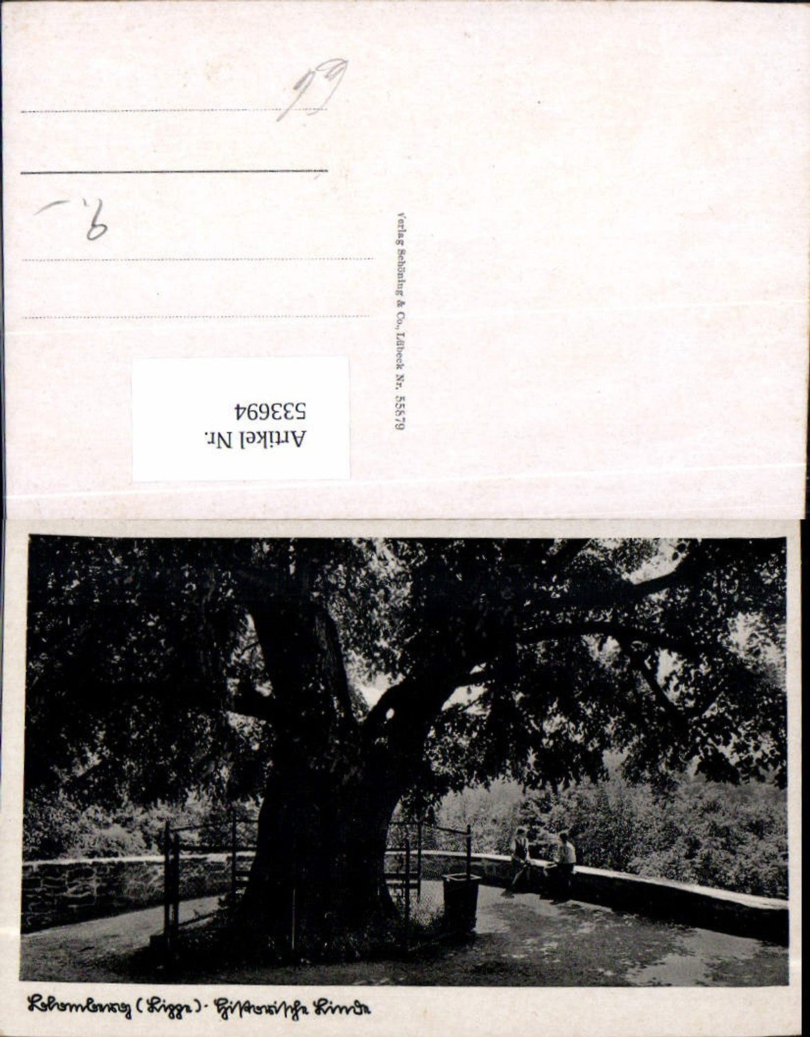 533694,Blomberg Lippe Baum Eiche Detmold