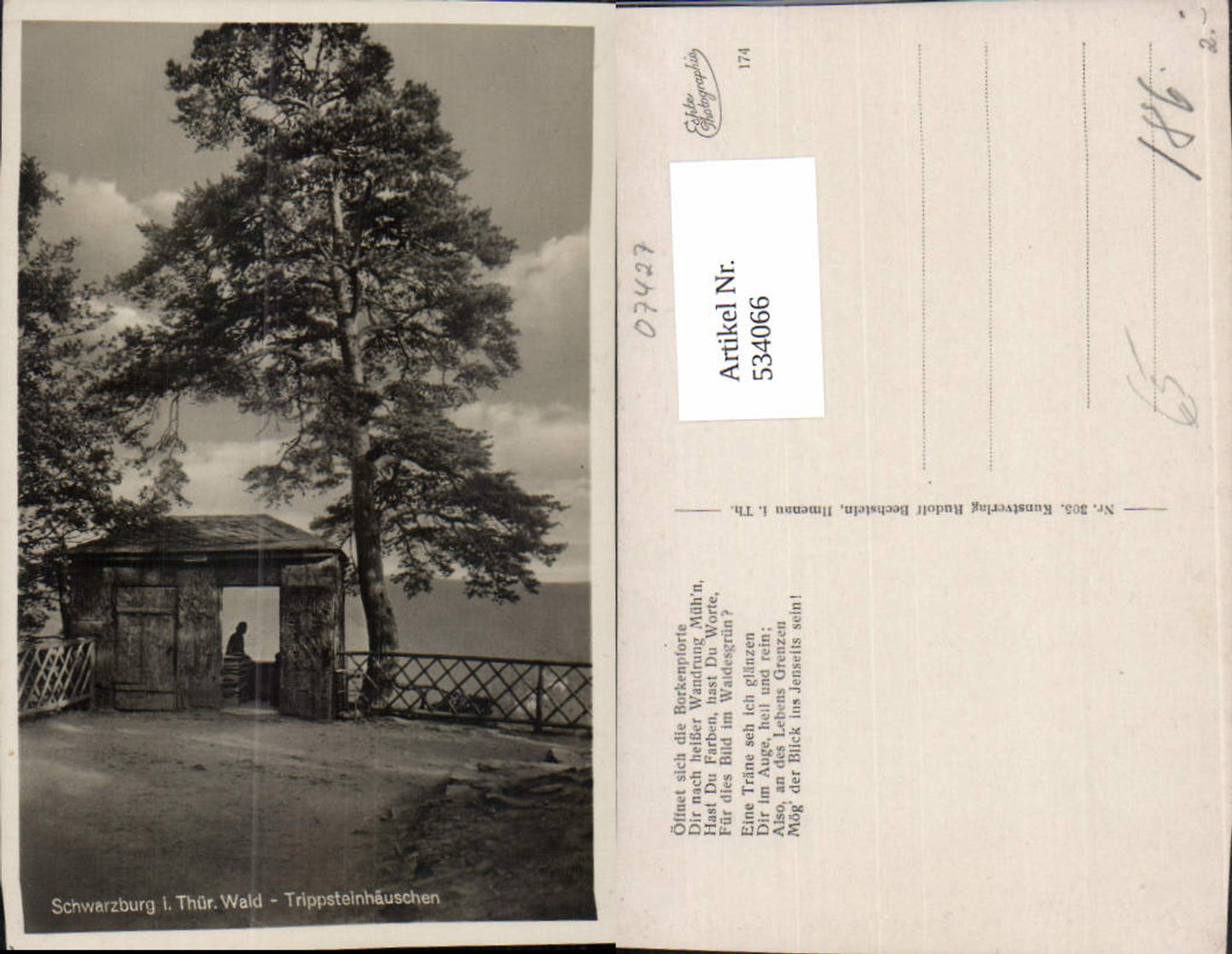 534066,Foto Ak Schwarzburg i. Thüringer Wald Trippsteinhäuschen Baum