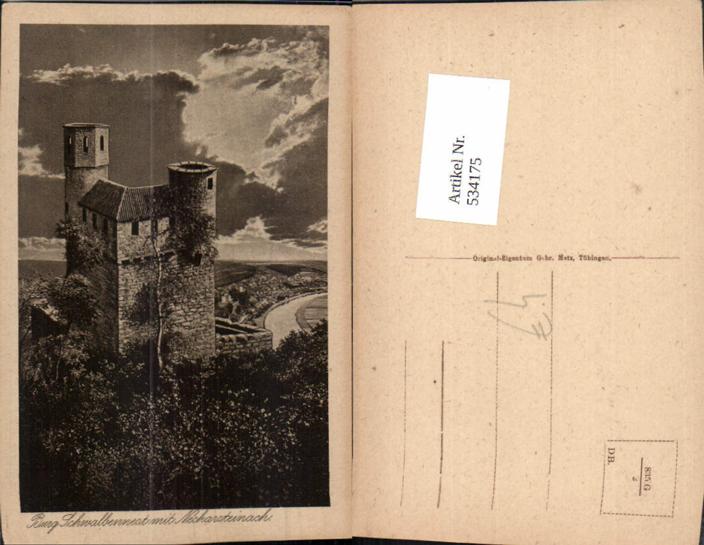 534175,Burg Schwalbennest m. Neckarsteinach