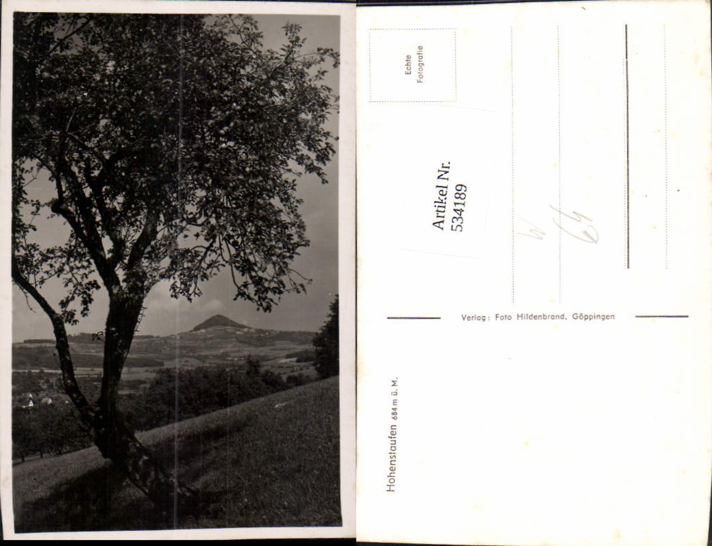 534189,Foto Ak Hohenstaufen b. Göppingen Ansicht m. Baum i. Vordergrund