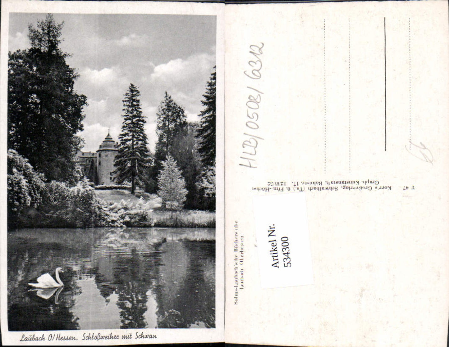 534300,Laubach Hessen Schlossweiher m. Schwan