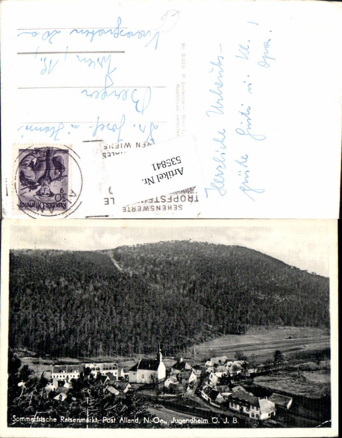 535841,Raisenmarkt bei Alland