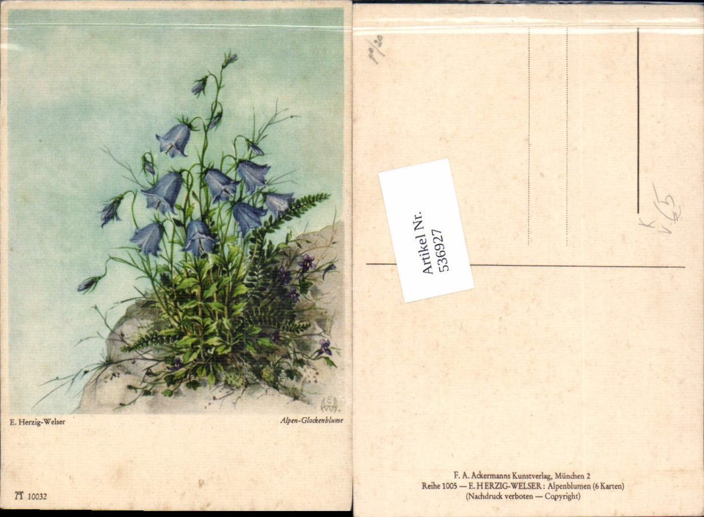 536927,Künstler AK E. Herzig Welser Alpen Glockenblume pub Ackermann 10032