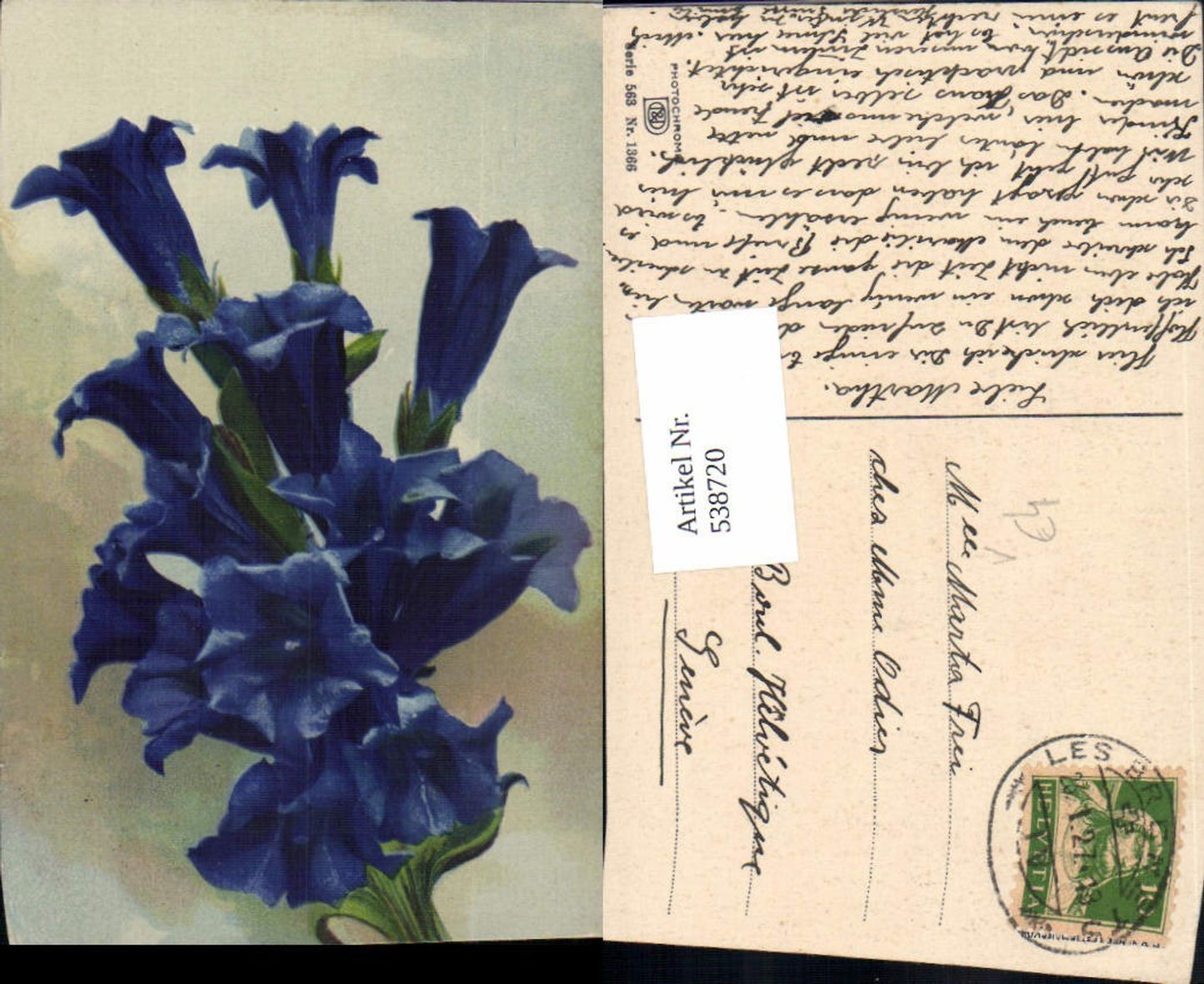 538720,Photochromie Nenke & Ostermaier 563-1366 Blume