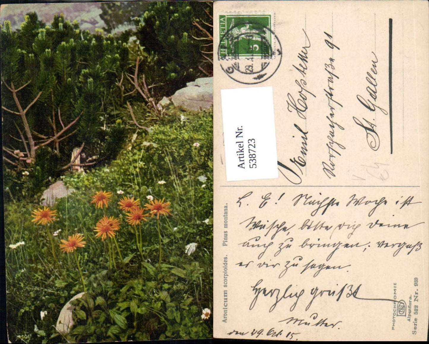 538723,Photochromy Nenke & Ostermaier 522-939 Alpine flora Pinus Montana Aronicum scorpioides