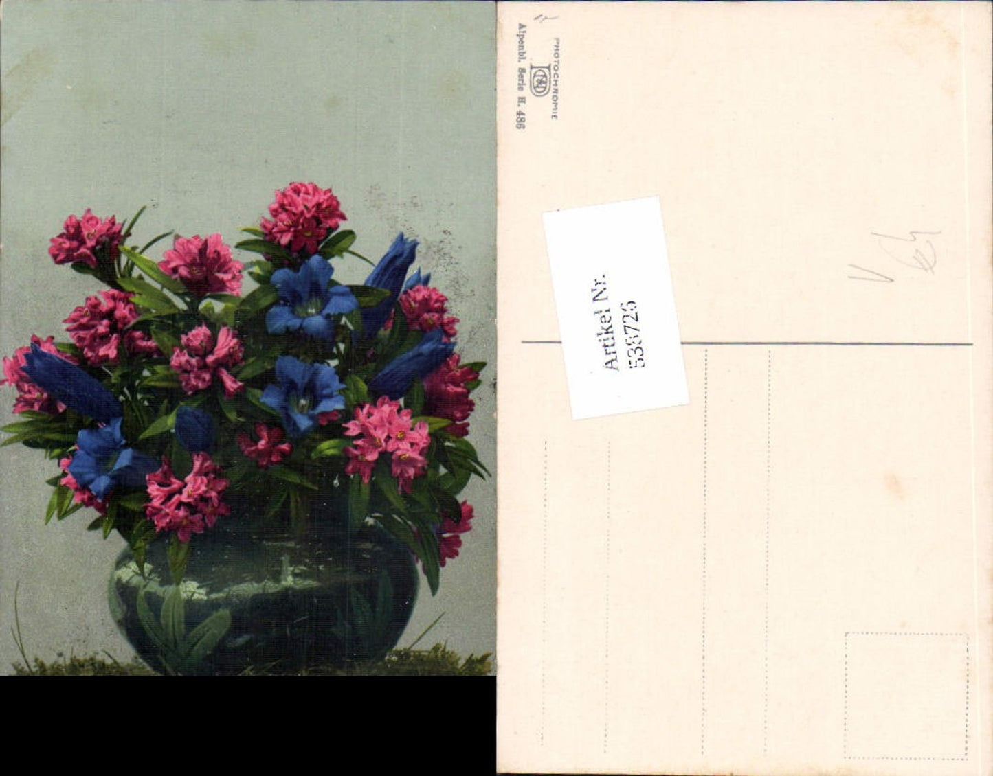538726,Photochromie Nenke & Ostermaier Ser. H. 486 Blumen