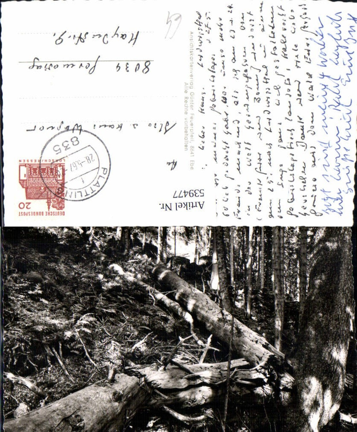 539477,Höllbachspreng Lindberg Urwald im Naturschutzgebiet