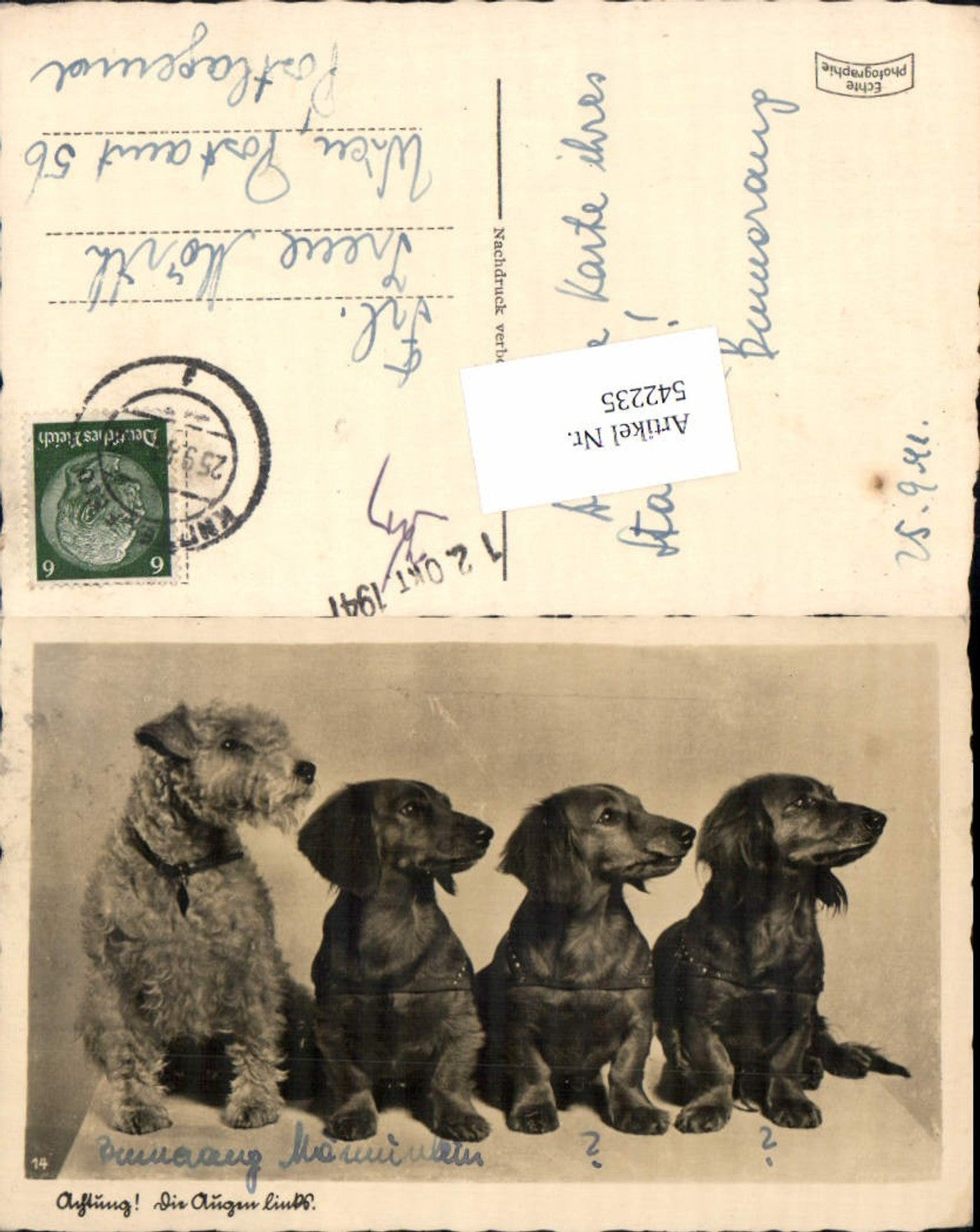 Alte Ansichtskarte – Old Postcard