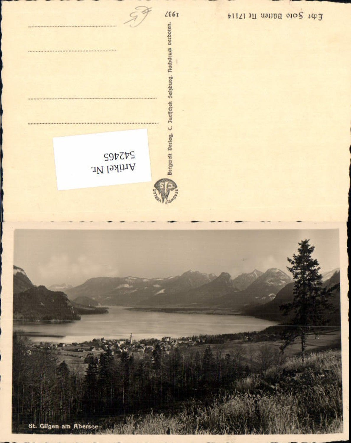 542465, Photo postcard St. Gilgen am Abersee