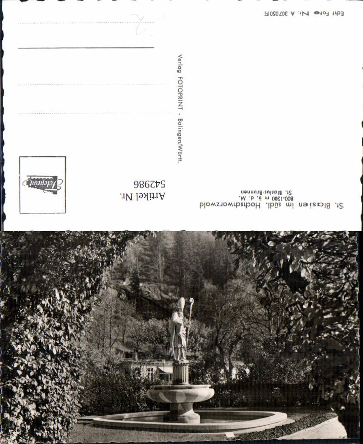 542986,Foto Ak St. Blasien St Blasius-Brunnen