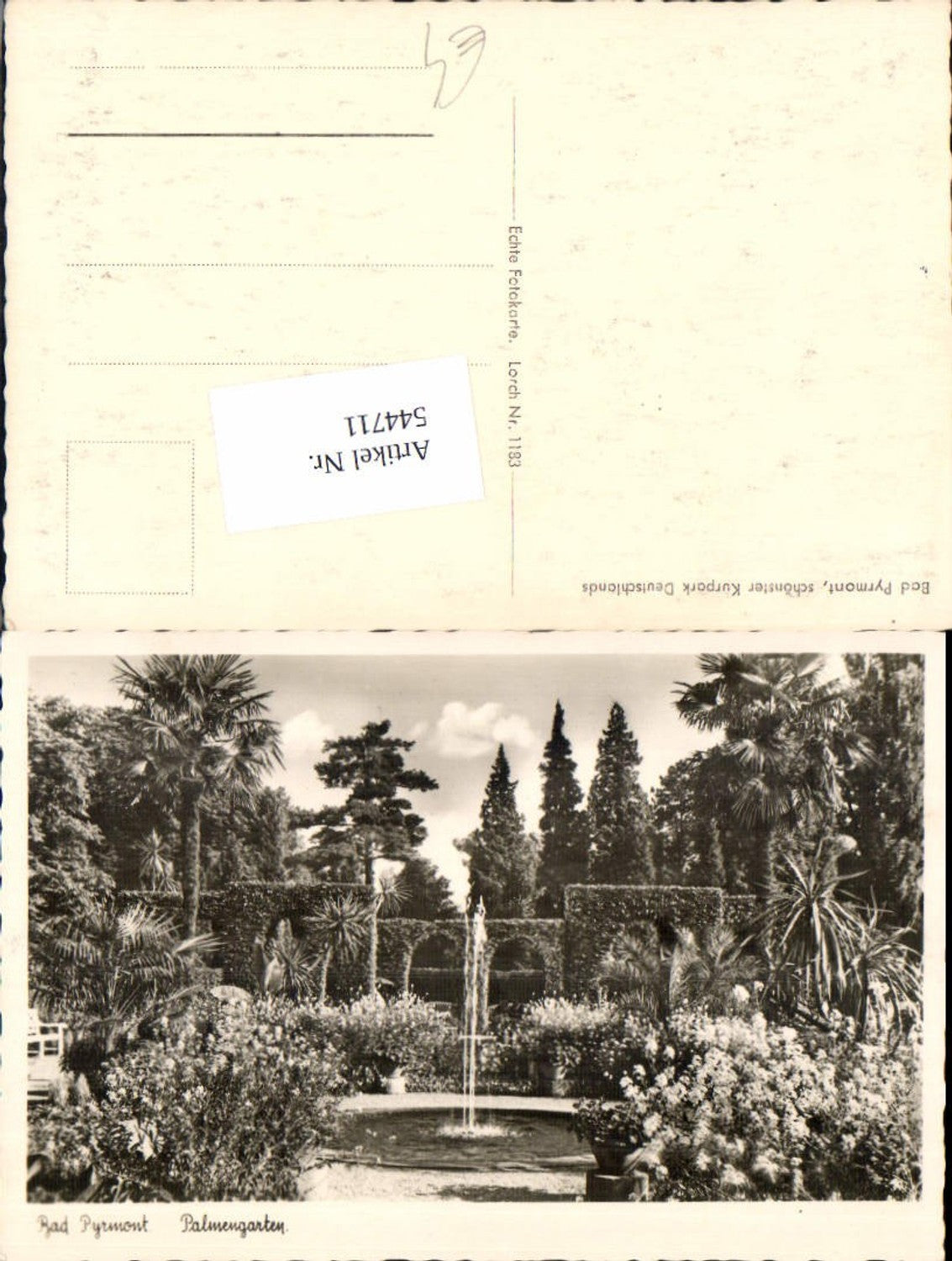 544711,Bad Pyrmont palmengarten Botanik