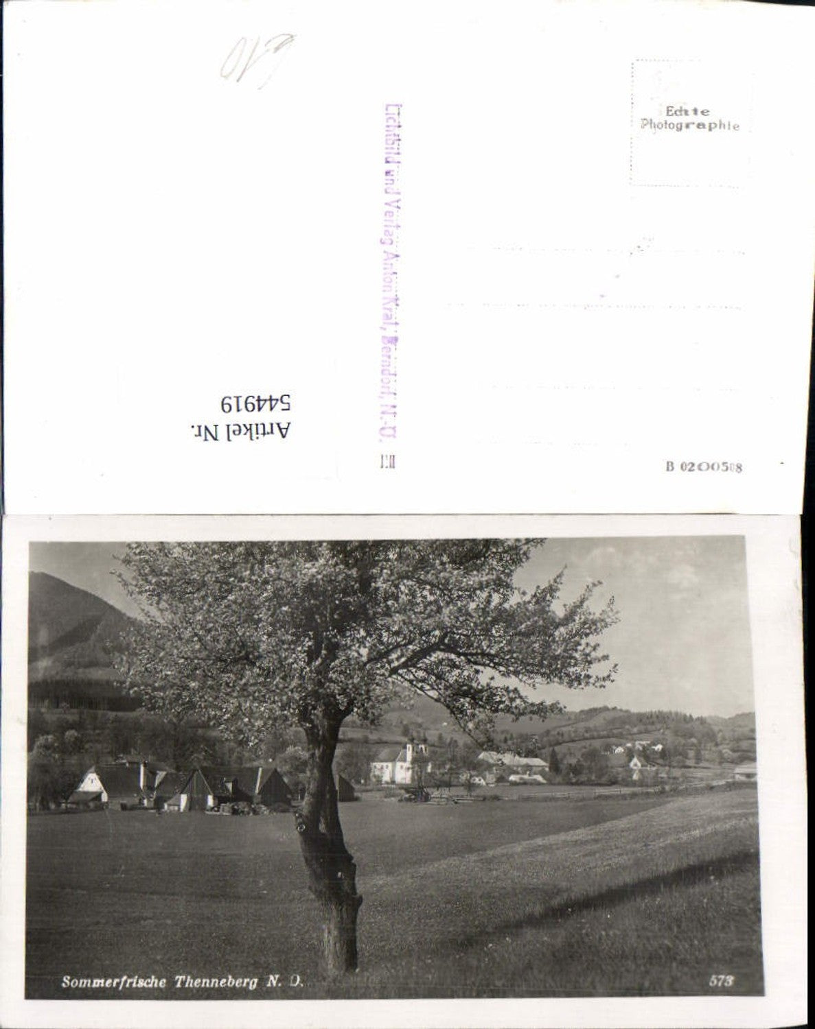 544919,tolle AK Thenneberg bei Altenmarkt an der Triesting pub Kral Berndorf