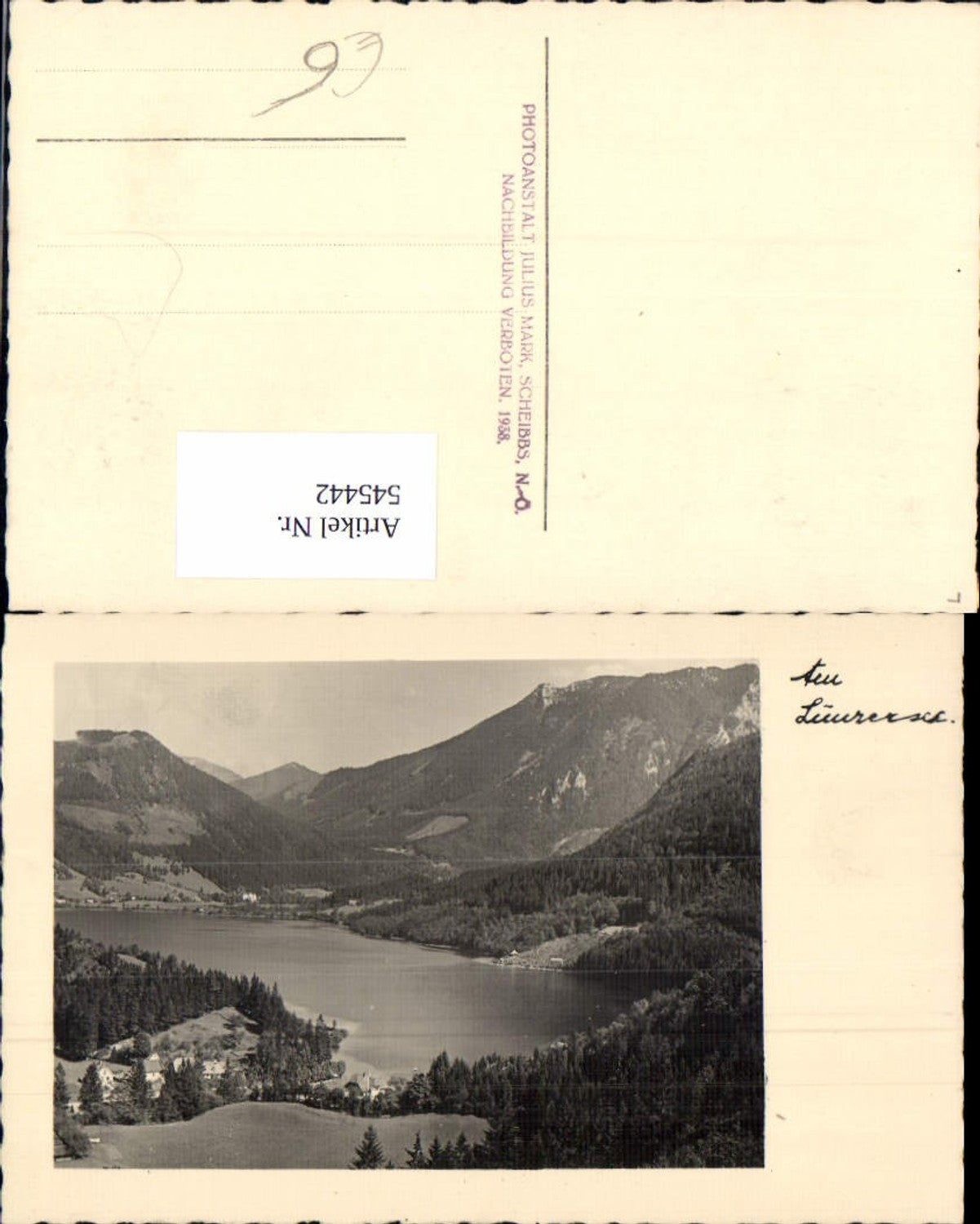 545442,Foto-AK Lunzersee b. Lunz am See
