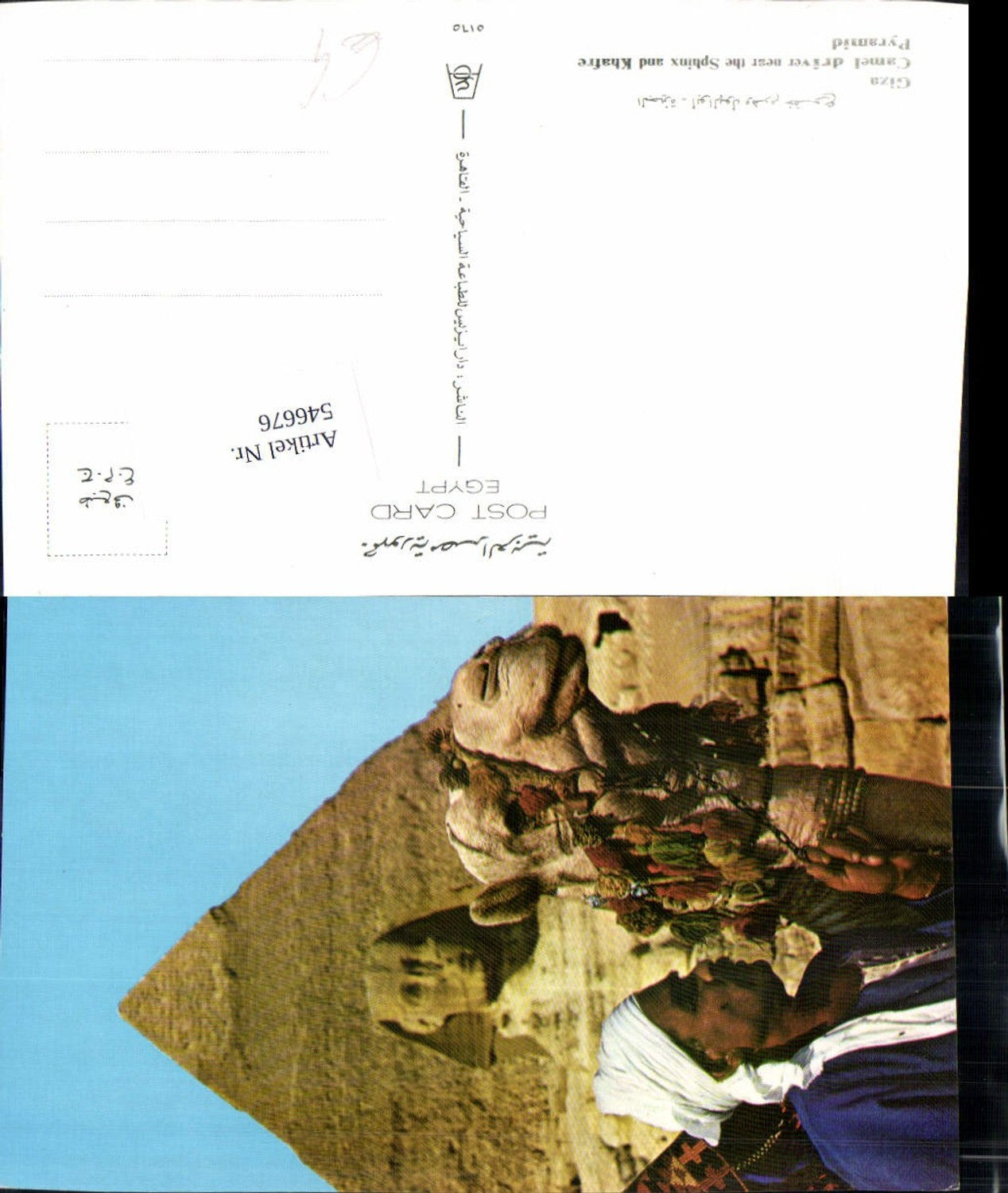 546676,Africa Egypt Cairo Kairo Gizeh Kamel Camel Sphinx