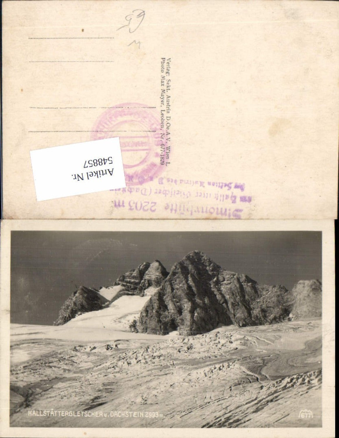 548857,tolle Foto-AK Hallstättergletscher Hallstatt Gletscher dachstein pub Max Mayer 677
