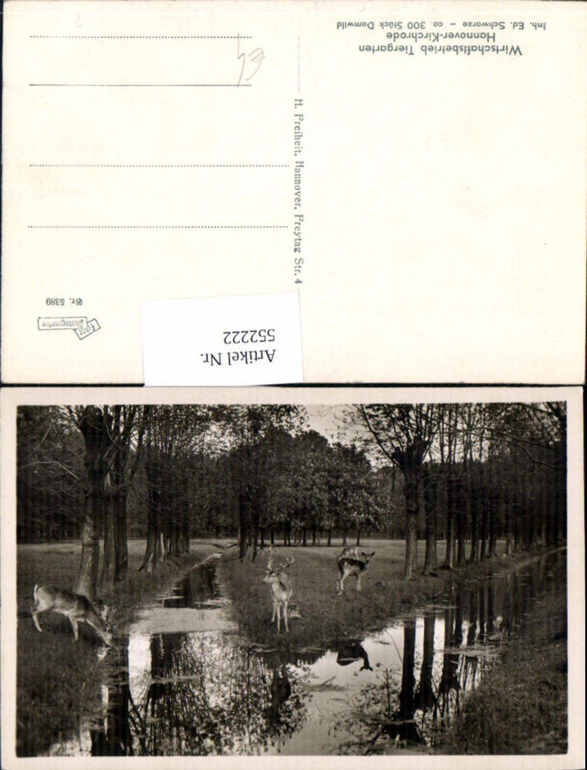 552222,Hannover Tiergarten Zoo Hirsche Kirchrode Wild