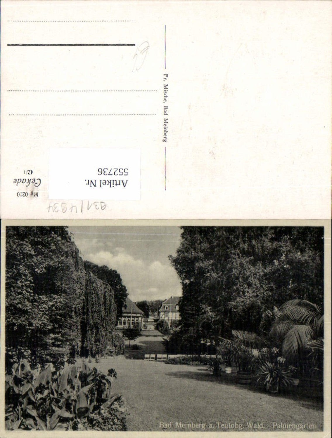 552736,Bad Meinberg am Teutoburger Wald Detmold Lippe Palmengarten