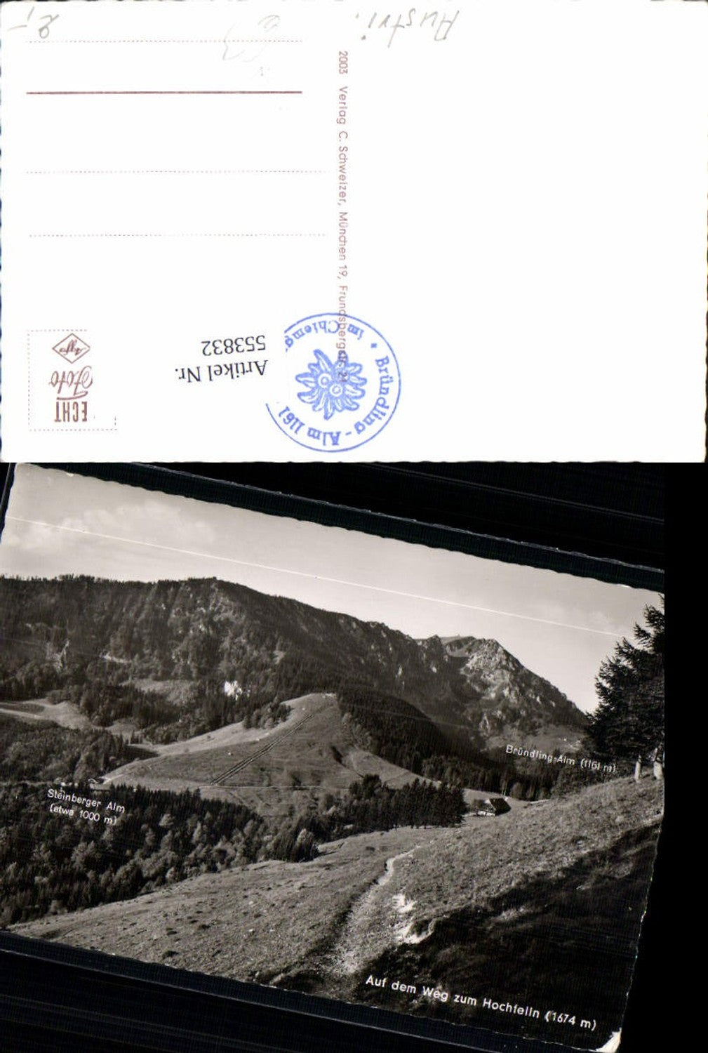 553832,Hochfelln Steinberger Alm Chiemgau Grabenstätt Vachendorf LK Traunstein