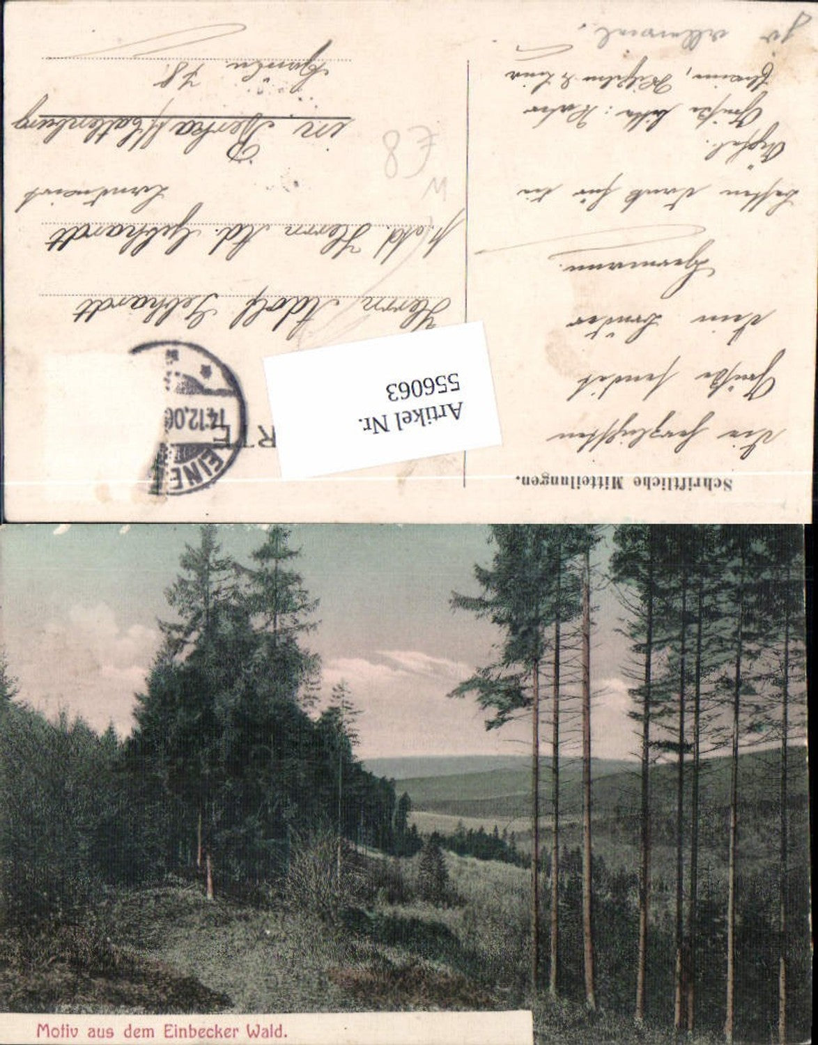 556063,Motiv aus dem Einbecker Wald Einbeck LK Northeim