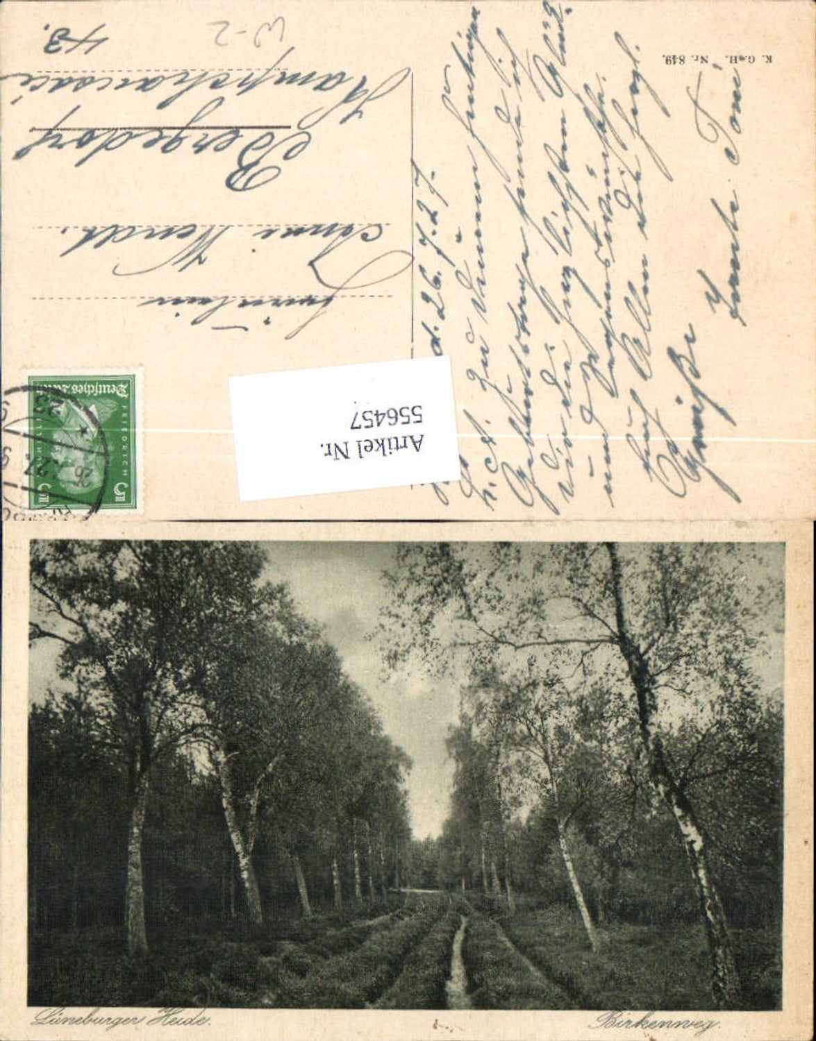 556457,Lüneburger Heide Lüneburg Birke Bäume Birkenweg