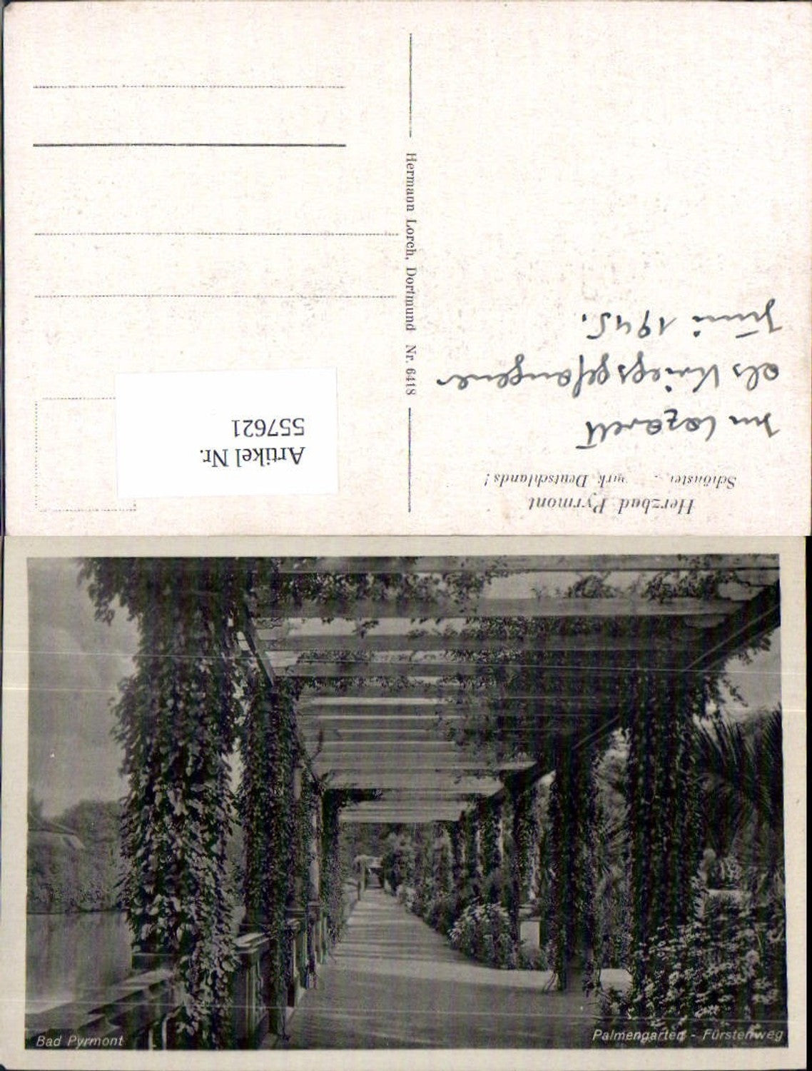 557621,Bad Pyrmont Fürstenweg Palmengarten