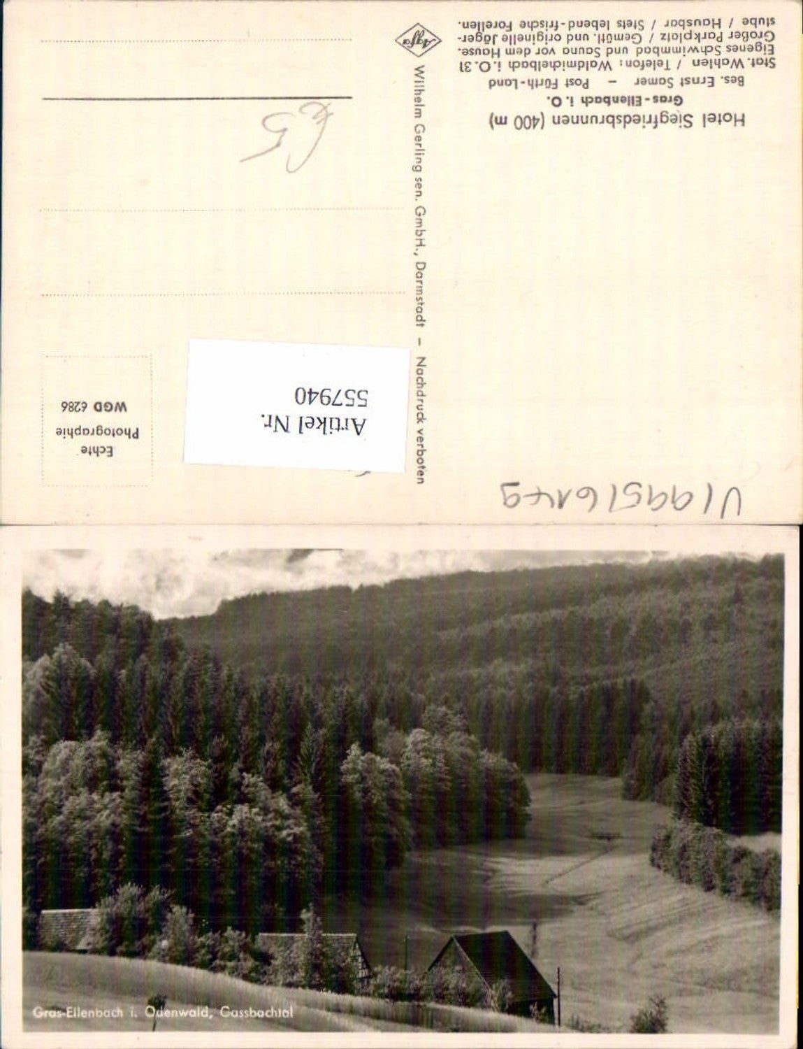 557940,Foto Ak Gras-Ellenbach i. Odenwald Grasellenbach Gassbachtal Landschaft