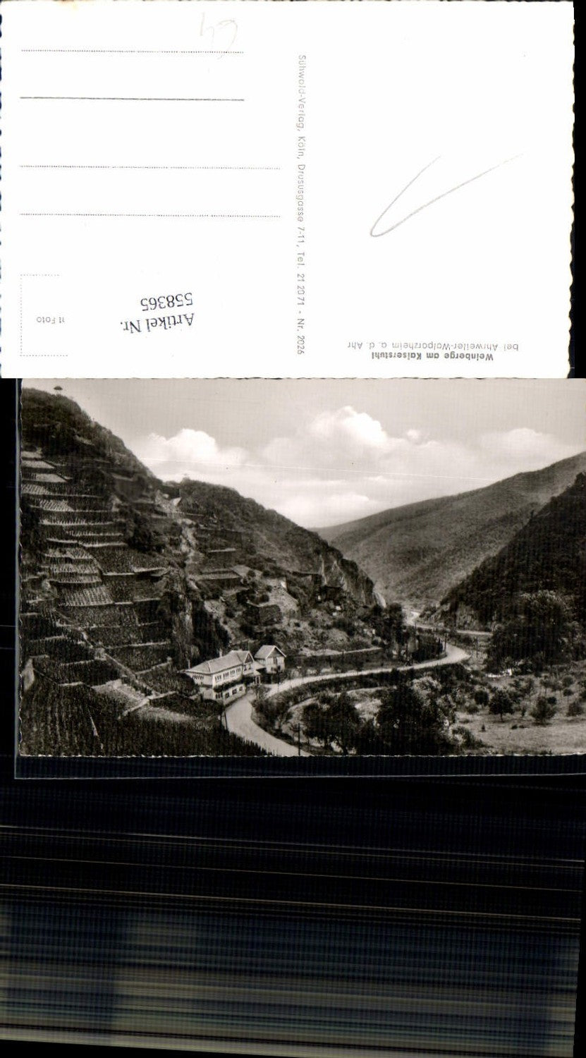 558365,Ahr Ahrtal Ahrweiler Weinberge Walporzheim